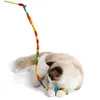 Chat Jouets Jouet Baguette Attrapeur Interactif Teaser Et Exercice Drôle Pour Chaton Ou Chats - Matériel De Fil De Laine