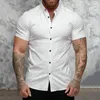 Men's Casual Shirts Lapel Short Sleeve Men Shirt Anti-pilling Button Closure Dress Solid Color Turn-down Collar Slim Top Men's Clothing