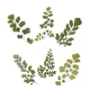ギフトラップヴィンテージ草本植物コレクションフローラルフラワーペットダイアリーステッカーラベルスクラップブッキングハンドブックデコレーションステッカー