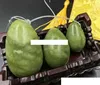 Uova di giada forate in pietra verde naturale Uovo di pietra Per l'esercizio di Kegel
