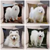 Pillow 50 Style Cute White Dog Samoyed Cover Decor Lovely Pet Animal Case Soft Plush Pillowcase For Sofa Children Room