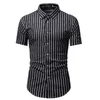 メンズTシャツメンズシャツストライププリントメンズソーシャルビジネスカジュアルラペル半袖男性衣料品ケミスホム