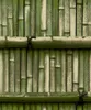 Wallpapers Chinese stijl groene bamboe behang 3D stereo woonkamer studie achtergrond achtergrond muurpapier woning decor pvc waterdicht