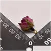 Charms Rose Red Epossidica Fiore Reale Orecchino Fare Forniture Per Gioielli Pendenti Ja0343 Drop Delivery 202 Dhhc3