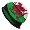 Beretten Cool Wales vlag schedels Beanies vrouwen mannen winter warme slouchy beanie hoed Welsh trotse breien motorkap voor ski