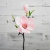 Decorative Flowers 2-Head Short Pole Single Branch Imitation Magnolia Dining Room Flower Arrangement Artificial Wedding Bouquet