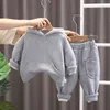 Kleidungssets Herbst neuer Stil Jahr altes Baby Plüsch Langarm Sportanzug Jungen und Mädchen Kapuzenpullover Hosen zweiteiliges Set