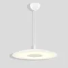 Pendant Lamps Modern LED Lights For Dining Room Dia 490mm 24W Home Decoration Lamp Fixturex