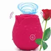 Vibromasseur de Massage à succion de fleur de Rose pour les femmes