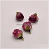 Charms Rose Red Epossidica Fiore Reale Orecchino Fare Forniture Per Gioielli Pendenti Ja0343 Drop Delivery 202 Dhhc3