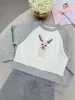 meisjeskleding sets Sweatshirts en rokken voor Kinderen herfst lente Hoodies Baby Meisjes Kleding Sweat Shirt Tieners Retail tops