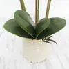 Decorative Flowers Artificial Phalaenopsis Leaves Branch Home Decor Leaf Of Butterfly Orchid Decoration PU