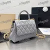 Classic Selzburg Handheld Women Crossbody Designer Bag Matelasse Chain Caviar Calfskin Leather Quilted Luxury Handbag Card Holder Multi Pochettes Clutch 19CM