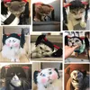 Katkostuums grappig kostuum voor kleine middelgrote katten honden cosplay vlecht verstelbare verkleed hoofdtooi huisdier accessoires po rops hoofddeksels