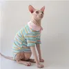 Kedi kostümleri wmxz sfenks tüysüz kıyafetler sonbahar bebek yaka pamuk alt gömlek sevimli sıcak hoodies kazak köpek evcil hayvan kedi tulum tulum