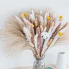 Fiori decorativi Bouquet di erba di pampa secca Decorazioni per la casa Boho Phragmites per matrimonio floreale 91 pz