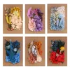 Decorative Flowers Dried Flower Material Diy Po Frame Gift Valentine's Day Mother's Handmade Wedding Bridal Decoration Party