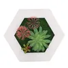 Dekoratif çiçekler modern pastoral simülasyon etli bitkiler saksı po çerçeve duvar dekorasyonu yapay bitki ev
