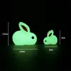 Cute Gluling Rabbit Micro -Landscape Party Decoração