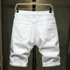 Men's Jeans Summer Ripped Denim Shorts Streetwear Holes Slim Straight Stretch Black White Naom22