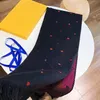 Luxury Scarf Cashmere and Silk Blending Fashion Colors Pashmina Winter Warm Brand Designer Letter Shawl Classic Pattern