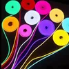 Strings LED signo neon leve sonho de sonho cor arco -￭ris leds pixels luzes para n￩on letras sinais de barra de arte ilumina￧￣o decorativa dc12v oemled
