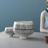 Vasi per la casa Semplice vaso in ceramica Ornamento Modello creativo Vaso vivente Decorazione morbida