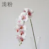 Dekoratif Çiçekler Lateks 9-Heads Yapay Kelebek Orkide 5 Renk Büyük Boyu Sahte Phalaenopsis Silikon PU Gerçek dokunmatik düğün ev dekor