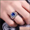 Cluster Rings Creative Exquisite Luxury Round Zircon Sapphire Ring Party Birthday Jewelry Gift Blue Drop Delivery DH0GD