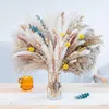 Decorative Flowers Dry Pampas Grass Decor Tall Dried Flower Bouquet Eucalyptus White