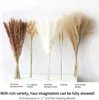 Decorative Flowers 67 PCS Dried Pampas Grass Contains Tails Reed Bouquet For Wedding Boho Home Table Decor