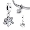 Real 925 Sterling Silver Skilly Pet Patw Charm Pinging, Cat Dog Charms Bead Fit Original Pandora Bracelet Jóias