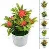 Dekorativa blommor Simulering Små bonsai Desktop Ornament Fake Lotus Artificial Plant Pot Outdoor Home Office Decoration Gift