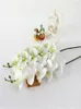 Fiori decorativi Artificiale Phalaenopsis Fiore di orchidea Real Touch Piante di farfalle rosse finte Decorazioni per la casa di nozze