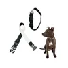 3 Size Sublimation Blanks White Adjustable Dog Collars Soft Neoprene Custom Heat Transfer Padded Breathable Pet Collar