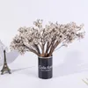 Decoratieve bloemen Wit Natuurlijke Tallow Bessen Dry Sapium Fruit Flower Takken Diy Bouquet Home Wedding Party Floral Decoration Craft