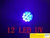 12 LED UV lanterna UV Ultra Violet Camp Lamp Torch Antifake UV Flash Light100pcslot