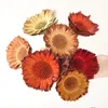 Ghirlande di fiori decorativi 2 pezzi Girasoli secchi naturali Mazzo Eterno Fiore secco per San Valentino Regalo Festa di nozze Decorazione domestica P