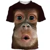 Erkek Tişörtleri Dogtiger Huskygolden Retriever Erkekler/Kadınlar Moda Serin 3D Baskılı Tişörtler Günlük Stil Tshirt Street Giyim Üstleri