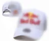 Hip Hop Bone Gorra POIO Baseball Cap Männer und Frauen Outdoor Wandern Radfahren Reisen Sport Angeln Golf Hut