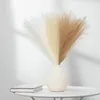 Fiori decorativi 45 cm Erba di pampa Bouquet artificiale Festa di nozze Decorazione domestica Simulazione di piante Fiori secchi Reed Po Prop