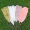 Sublimation Decorative Flowers & Wreaths 1Branch 12Forks 86cm Artificial Pampas Grass Decor Fake Reed Simulation Flower Plant Wedding Party Home Garden