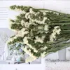 Fleurs décoratives Naturel Réel Dired Bouquet De Fleurs De Mariage De Mariée Ne M'oubliez Pas Cadeaux Plantes Vertes Décor Pour La Maison Chambre