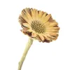 Decorative Flowers & Wreaths 2pcs Natural Dried Sunflowers Bunch Eternal Dry Flower For Valentines Day Gift Wedding Party Home Decoration P