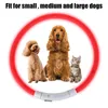 Dog Collars Pet Accessories Night Safety Flashing Glow Collar Loss Prevention Luminous Charge Led Usb