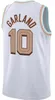 Donovan Mitchell basketball jerseys Cav Jersey Clevelands Cavalier Darius Garland Zion Williamson Shai Gilgeous-Alexander Pelican City jersey