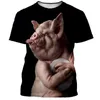 Männer T Shirts Dogtiger HuskyGolden Retriever Männer/frauen Mode Coole 3D Gedruckt T-shirts Casual Stil T-shirt Streetwear Tops