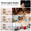 LED-Schminkspiegel mit Glühbirnen, USB, Hollywood-Waschtisch, Badezimmer, Schminktisch, Beleuchtung, dimmbare LED-Wandleuchte