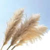 Objets décoratifs Figurines 80cm Grand Pampas Fleurs d'herbe Bouquet Fluffy Dried Floral Decoration Plantes naturelles DIY DIY CRAFT DÉCORATIONS DE MEADUX 230215