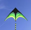 Alta qualidade Delta Kites Tails com brinquedos ao ar livre para crianças pipas nylon ripstop albatross kite fábrica